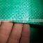 Wholesale Chinese Manufacture 100% Virgin PP Fabric in Roll in Green Color