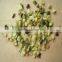 hemp seeds without shell powder hemp