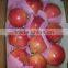 4.5 kg carton box Packing of Fresh Pomegranates from Egypt