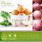 fresh red onion from China