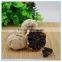 Healthy Snack Wholesale Bulk Black Garlic