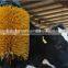 cattle brush for cattle farm equipment scratch brush cattle equipment