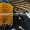 cattle brush for cattle farm equipment scratch brush cow equipment