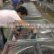 poultry farm greenhouse ventilation fan cooling controlling system