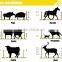 Hongrunzhongda farm security electric fence system electric fence energizer and alarm