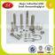 Custom Hight Precision High Quality Rigging Screw Galvanize ISO/RoHS Passed OEM&ODM