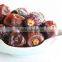 Palm dates Multiple layer continuous type mesh belt dryer