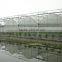 Galvanized Tube Structure Multi-Span Greenhouse Used for Growing Plantings