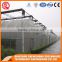 2017 China plastic tunnel greenhouse agriculture made in China