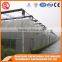 China Multifunction Plastic Greenhouse for Agricultural Farming