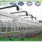 Polycarbonate Aluminum Greenhouse for garden