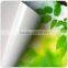 self adhesive vinyl for cutting plotter,color cutting vinyl,self adhesive cutting vinyl