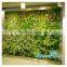 Living wall for home and office/garden decoration hydroponic systems vertical garden green wall