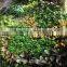 Decoration Green Grass Plants Wall Design