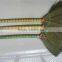 vietnam grass broom sweep grass broom