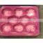Blue Color Disposable Plastic Fruit Tray