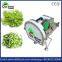 Spring onion cutter