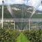 Factory supply Agricultural 50g anti hail netting /orchard tree hail protection net/anti hail net for fruit gardens