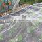 transparent anti insect net mesh 50 for vegetable