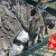 Bulk Yingshi wholesale - Yingshi wholesale base - natural large black stone price