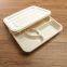 Eco-friendly biodegradable disposable 5 compartment lunch box with lid