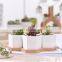 High Quality Wholesale Modern Ceramic White Hexagon Shape Planter Pot Small With Bamboo Tray