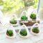Wholesale White Ceramic Hanging Planters Flower Pot Faux Succulent Plant Pot Artificial Plant Wall Hanging Pot With Hemp Rope