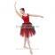 New Dansgirl Long Ballet Tutus Performance Ballet Dress Adult Lace Dance Dress