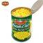 Sweet corn processing machine corn can processing machine