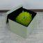 Foldable storage linen ottoman-Light Green