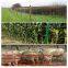 annimal fence