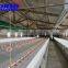 Whloesale Poultry Automatic Feeding Chain System in Poultry Farming equipment Automatic Chicken Feeder