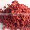 Bulk Goji Berries- Ning Xia,China