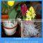 4-8mm expanded perlite suppliers