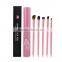 Hot 5 pieces makeup brush for eyeshadow with constellation aluminum case