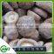 Frozen Shiitake Mushroom Cultivation