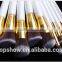 10 pieces private label makeup brush set