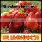 Huminrich Leonardite Source Rich In Organic Matter Humic Acid Powder Soluble
