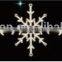 led 2D motif light