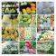 Factory Directly Free Sample Polythene Expanded Foam Fruit Protection Net