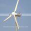 Self-support wind turbine wind generator with high output low noise cheap price--Hummer 3KW windkraftanlage eolico