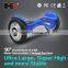 HX 10 Inch Self Balancing Electric Scooter 2 Wheel Stand up Electric Scooter
