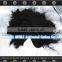 the lowest price of wood based powder activated carbon for sugar decolorization