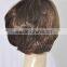Synthetic Fashion Short Brown Woman Wig N391