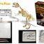 Educational toy Tyrannosaurus skeleton dinosaur fossils for kid