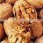 Organic Walnut Kernel with Top Quanlity, Wholesale Walnuts In Shell Price