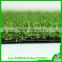 Turf grass/garden grass