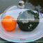 low price eco-friendly high transparent easy clearn acrylic plexiglass material dome