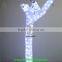 24V color changing Wedding decoration led christmas lighting