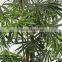 Home Artificial Palm Trees Bonsai Decorative Wholesale